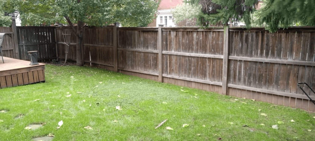 Backyard fence restained — before